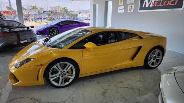 Gallarfo_2012 12.13.52 (3)