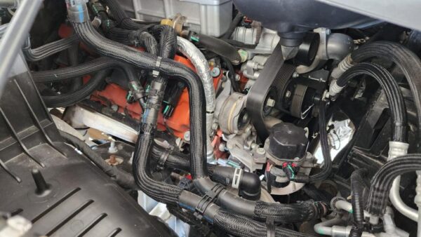 WhatsApp Image 2023-08-10 at 9.41.54 AM