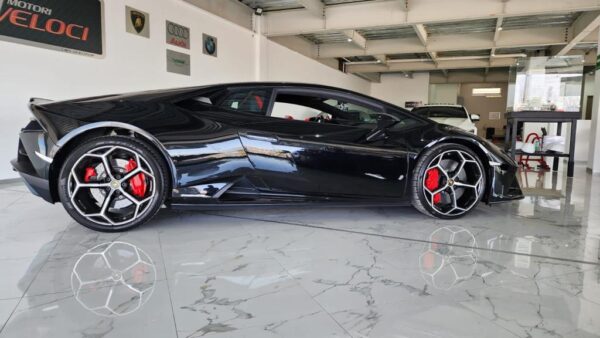 WhatsApp Image 2023-10-19 at 3.37.46 PM (2)