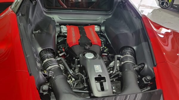 WhatsApp Image 2023-11-28 at 11.25.07 AM