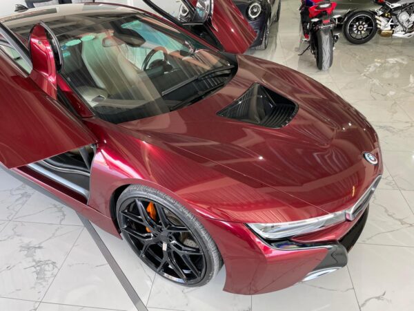 WhatsApp Image 2025-01-18 at 11.19.26 AM (7)