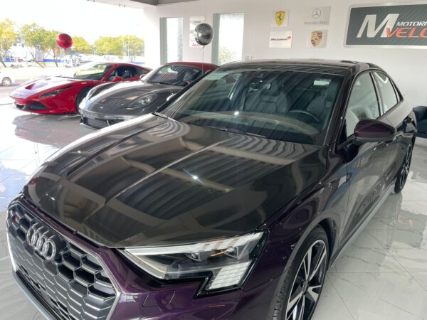 WhatsApp Image 2024-10-30 at 9.31.13 AM