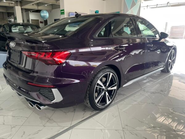 WhatsApp Image 2024-10-30 at 9.31.19 AM