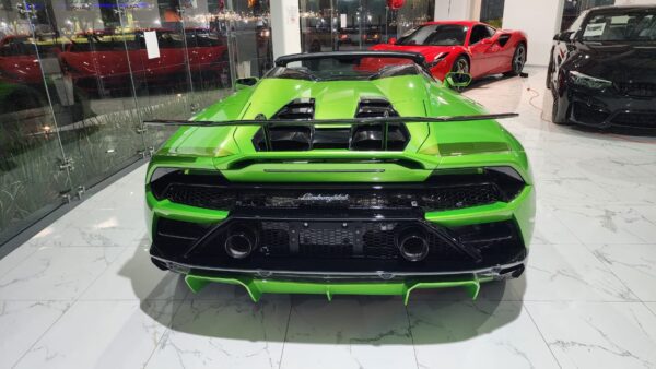 WhatsApp Image 2024-11-04 at 9.27.03 AM (1)