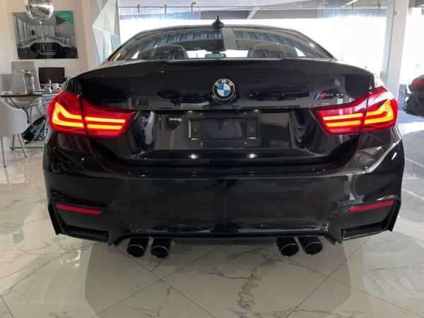 WhatsApp Image 2024-11-05 at 2.29.29 PM (1)