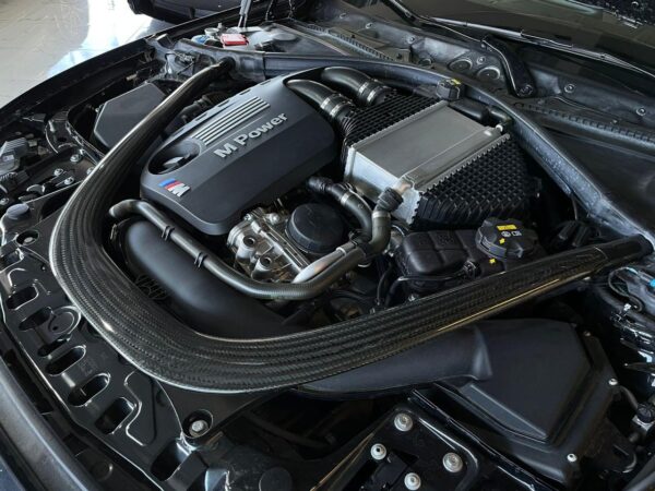 WhatsApp Image 2024-11-05 at 2.29.30 PM (2)