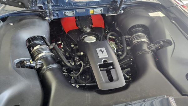 WhatsApp Image 2025-02-09 at 1.51.38 PM