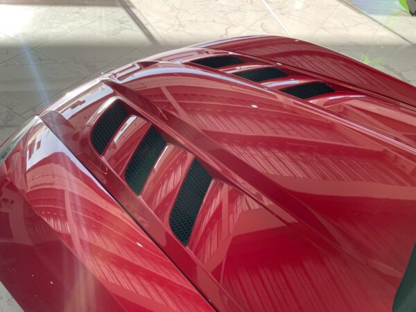 WhatsApp Image 2025-02-26 at 4.59.29 PM