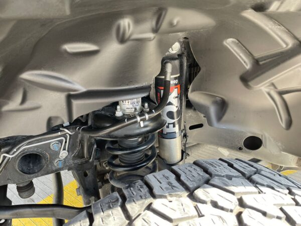 WhatsApp Image 2025-01-27 at 4.24.45 PM (3)