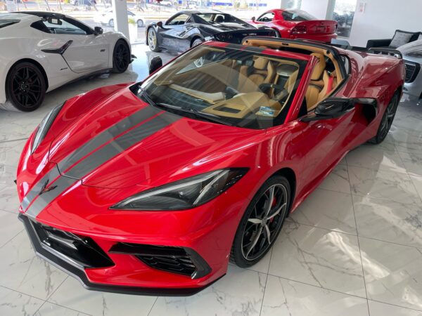 WhatsApp Image 2025-04-12 at 11.36.15 AM