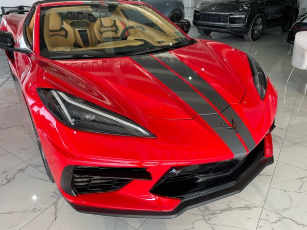 WhatsApp Image 2025-04-12 at 11.36.17 AM