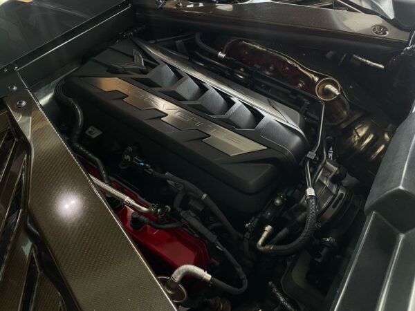 WhatsApp Image 2025-04-12 at 11.36.18 AM (1)