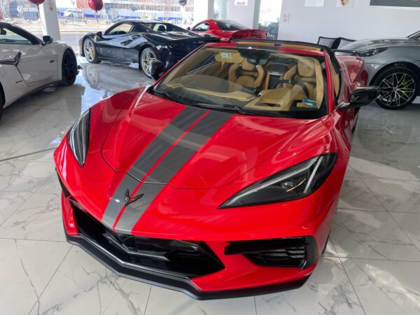 WhatsApp Image 2025-04-12 at 11.36.20 AM (2)